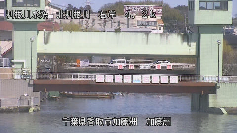 maesui2026030512_image