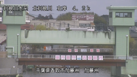 maesui2026030612_image