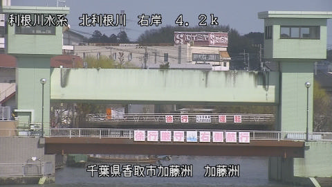 maesui2026030712_image