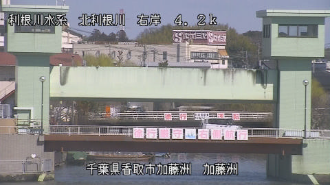 maesui2026030812_image