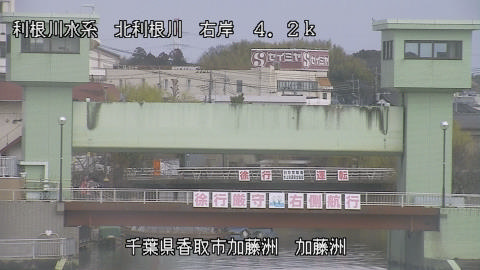 maesui2026030912_image