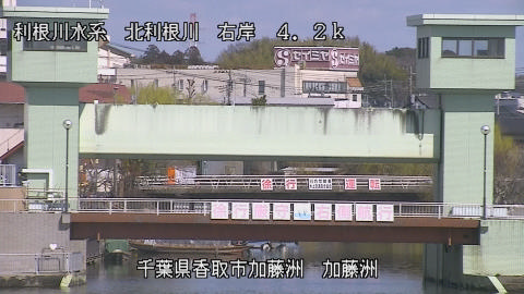 maesui2026031112_image