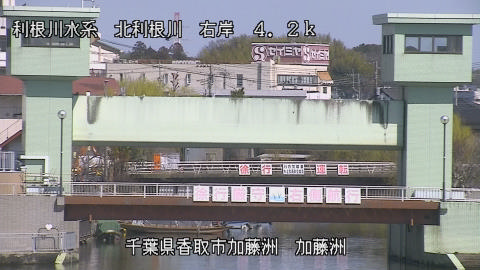 maesui2026031212_image