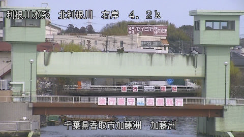 maesui2026031312_image