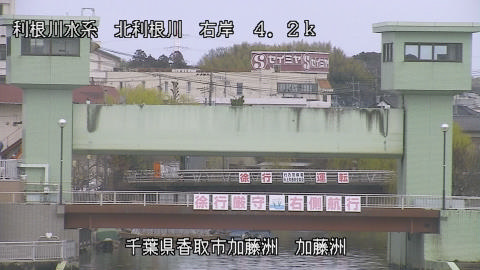 maesui2026031612_image