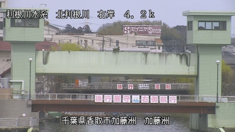 maesui2026031712_image