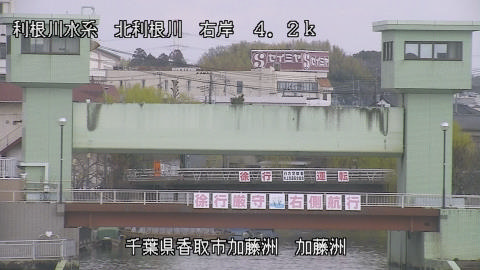 maesui2026031812_image