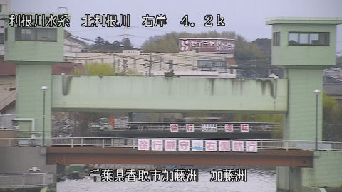 maesui2026031817_image