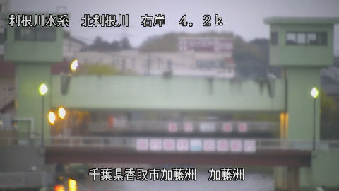 maesui2026031906_image