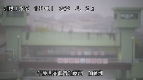 maesui2026031907_image