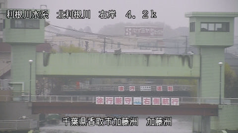 maesui2026031909_image