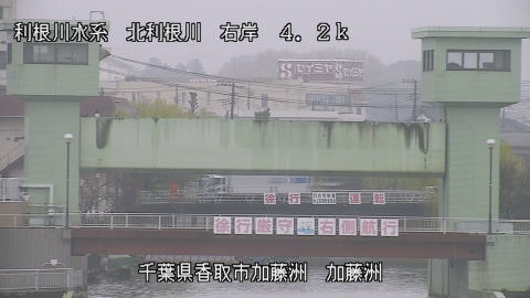 maesui2026031910_image