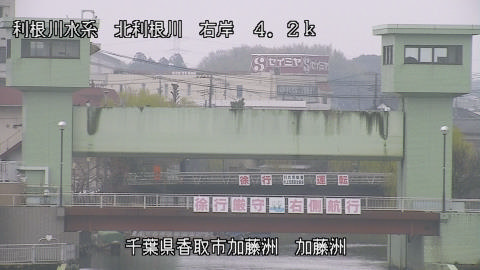 maesui2026031911_image