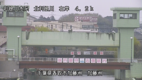 maesui2026031913_image