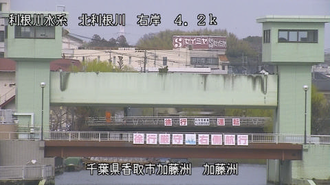 maesui2026031914_image