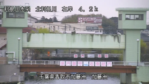 maesui2026031917_image