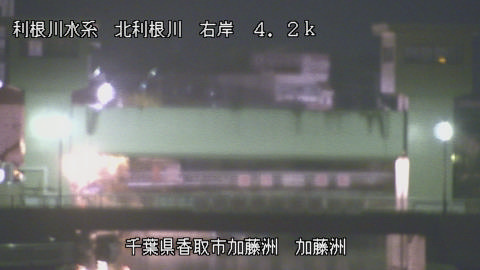 maesui2026031923_image