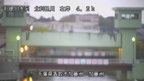 maesui2026032006_image