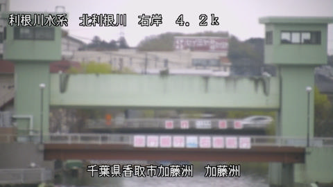 maesui2026032007_image