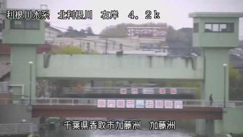 maesui2026032008_image