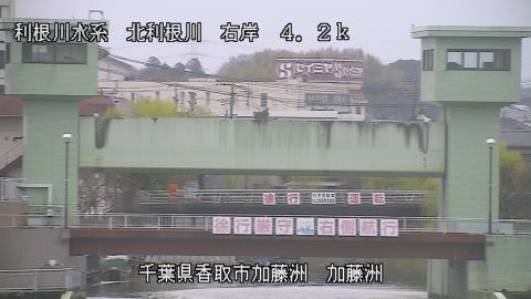 maesui2026032010_image