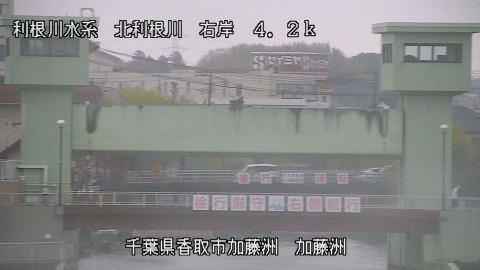 maesui2026032012_image