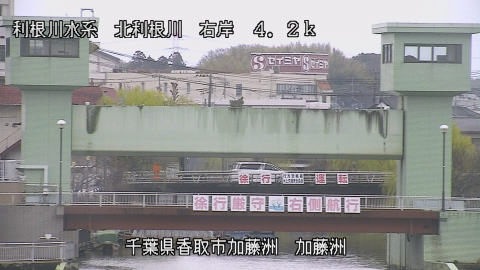 maesui2026032013_image