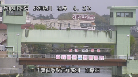 maesui2026040512_image