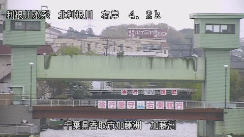 maesui2026040712_image