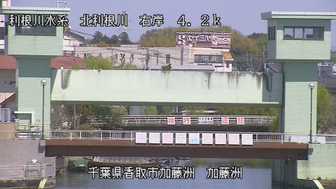 maesui2026040812_image