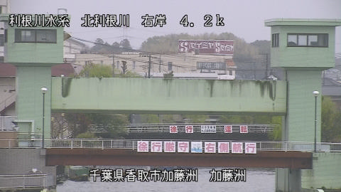 maesui2026041012_image