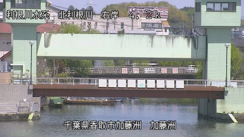maesui2026041212_image