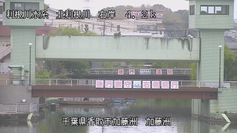 maesui2026042312_image