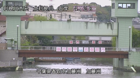 maesui2026043012_image