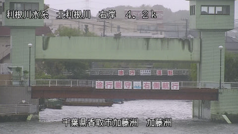 maesui2026050112_image