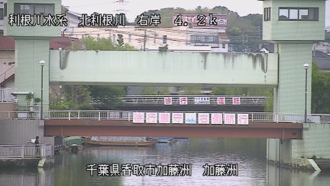 maesui2026050218_image
