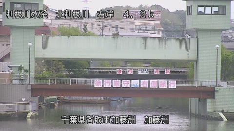maesui2026050308_image