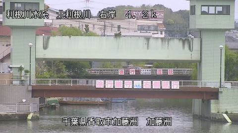 maesui2026050311_image
