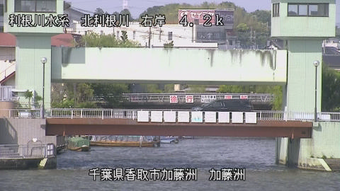 maesui2026050315_image