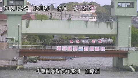 maesui2026050409_image