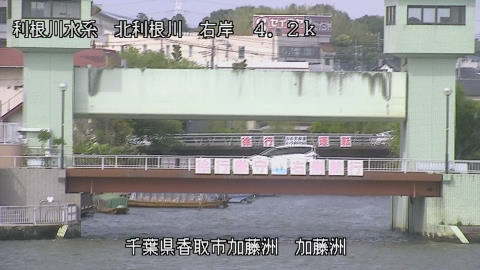 maesui2026050415_image