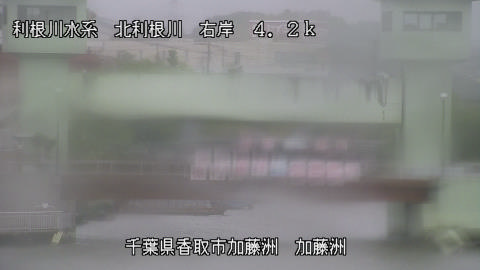 maesui2026052212_image