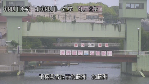 maesui2026052912_image