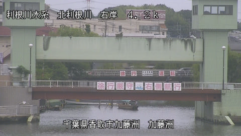 maesui2026053112_image