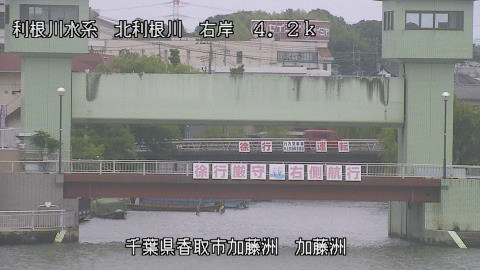 maesui2026060212_image