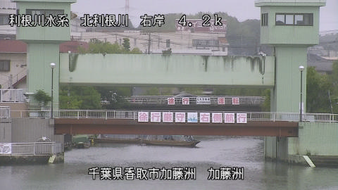 maesui2026060812_image