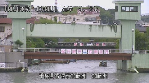 maesui2026060912_image