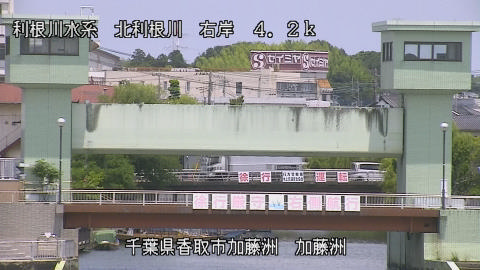 maesui2026061212_image