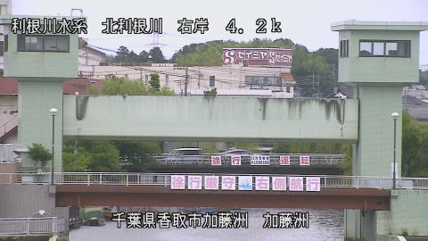 maesui2026061512_image