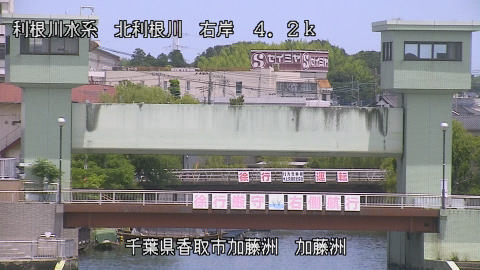 maesui2026061612_image
